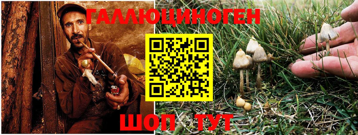 Галлюциногенные грибы MAGIC MUSHROOMS Алексеевка