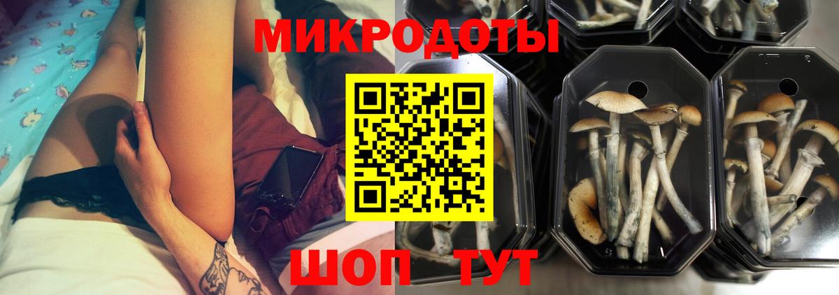 Галлюциногенные грибы мицелий  Вход с VPN  Алексеевка  Псилоцибиновые грибы ЛСД 
